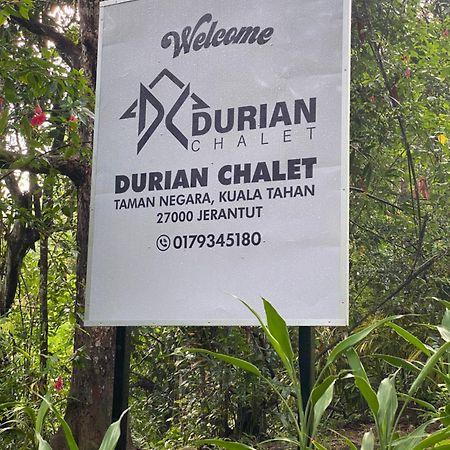 Durian Chalet Kuala Tahan Dış mekan fotoğraf