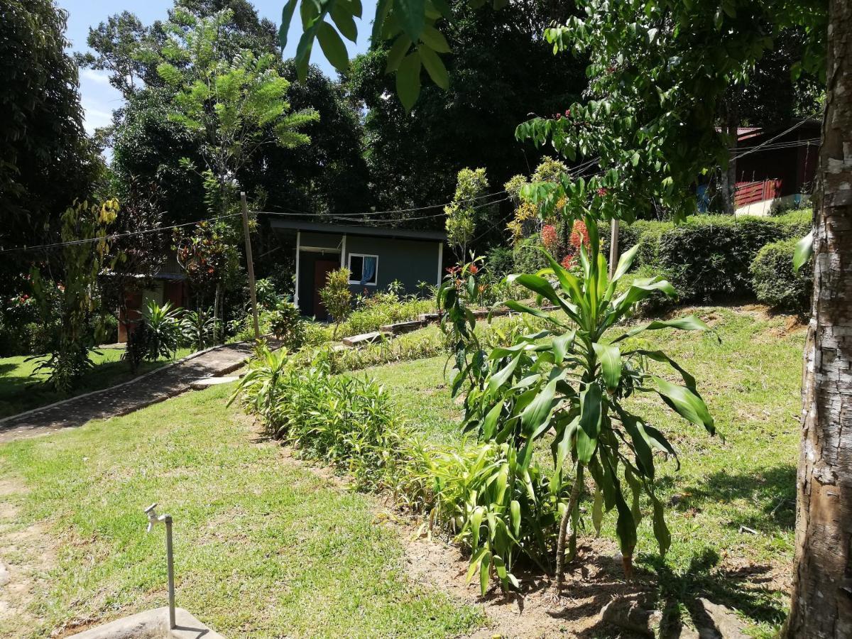 Durian Chalet Kuala Tahan Dış mekan fotoğraf