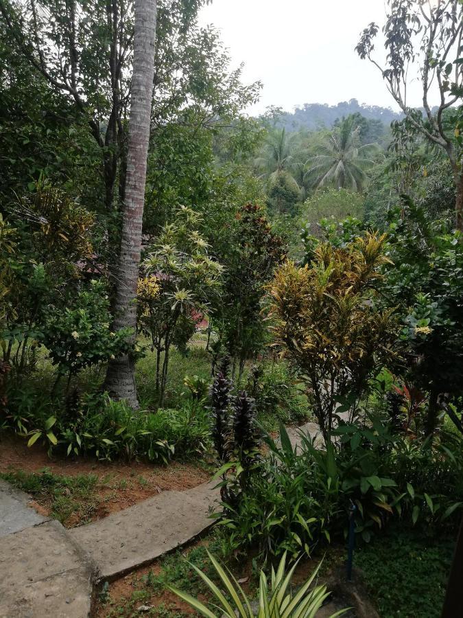 Durian Chalet Kuala Tahan Dış mekan fotoğraf