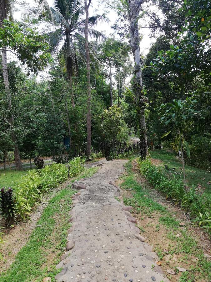 Durian Chalet Kuala Tahan Dış mekan fotoğraf