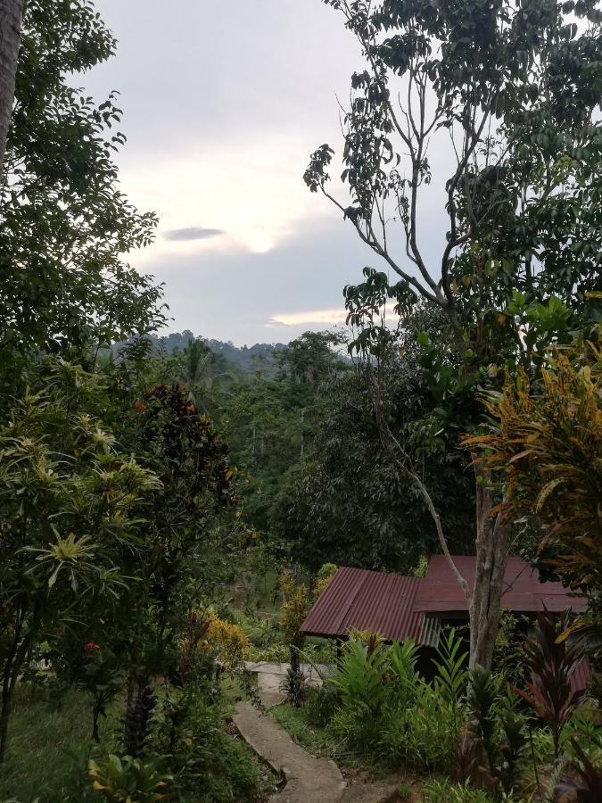 Durian Chalet Kuala Tahan Dış mekan fotoğraf