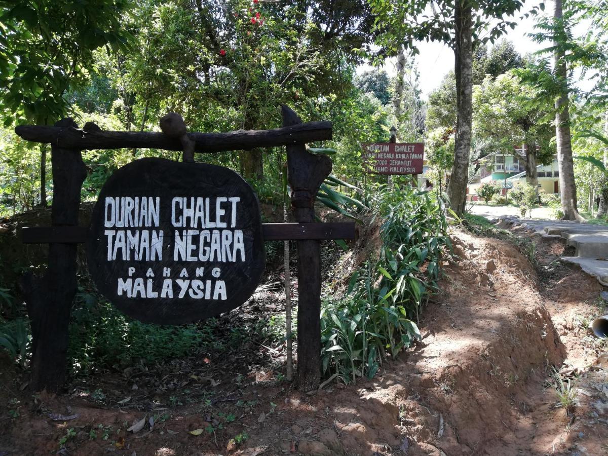 Durian Chalet Kuala Tahan Dış mekan fotoğraf