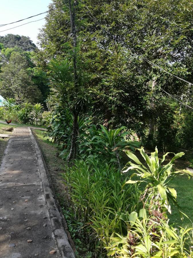 Durian Chalet Kuala Tahan Dış mekan fotoğraf
