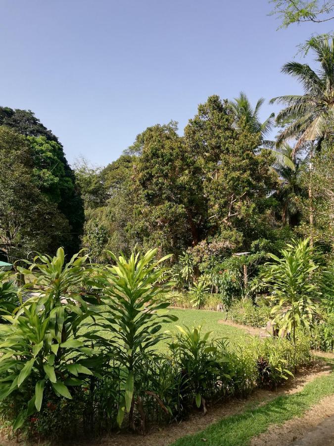Durian Chalet Kuala Tahan Dış mekan fotoğraf
