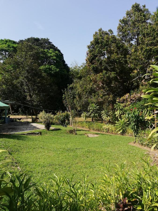 Durian Chalet Kuala Tahan Dış mekan fotoğraf