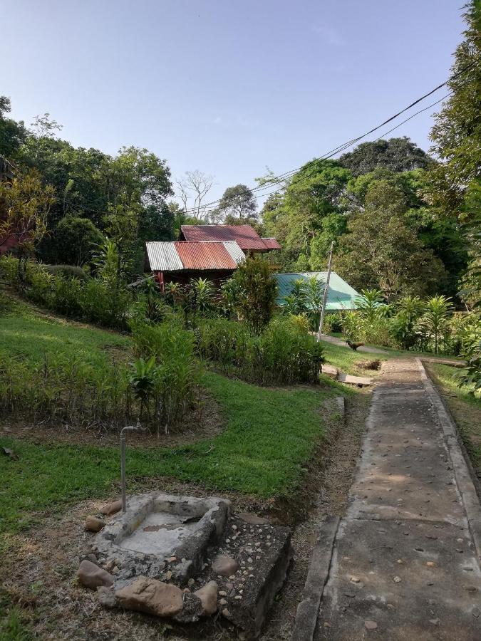 Durian Chalet Kuala Tahan Dış mekan fotoğraf