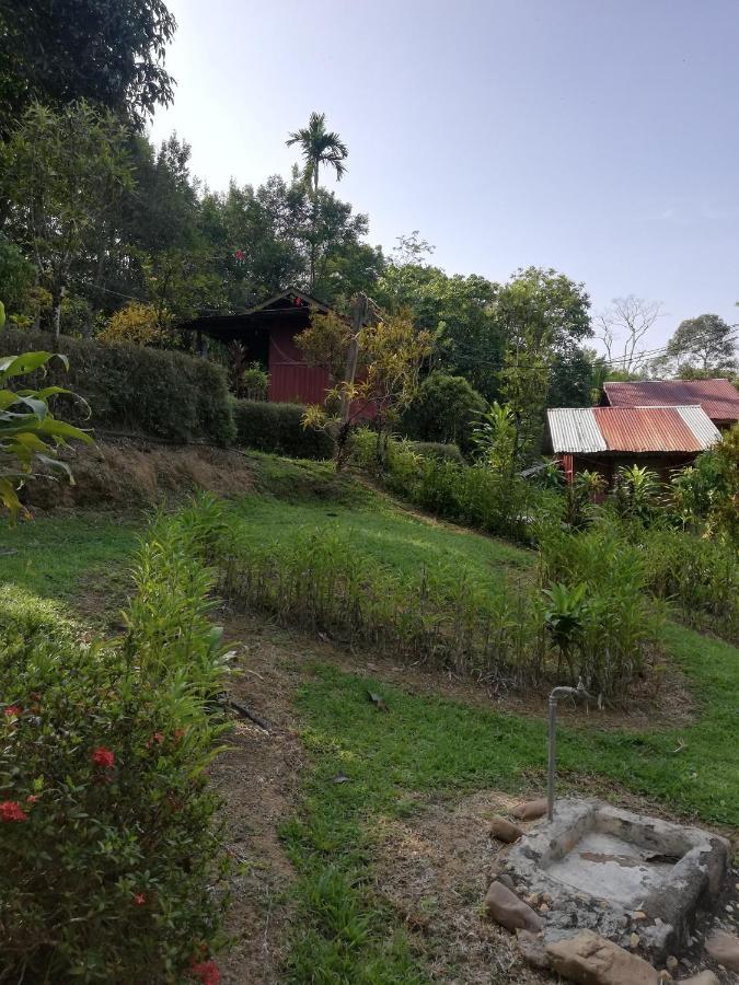 Durian Chalet Kuala Tahan Dış mekan fotoğraf