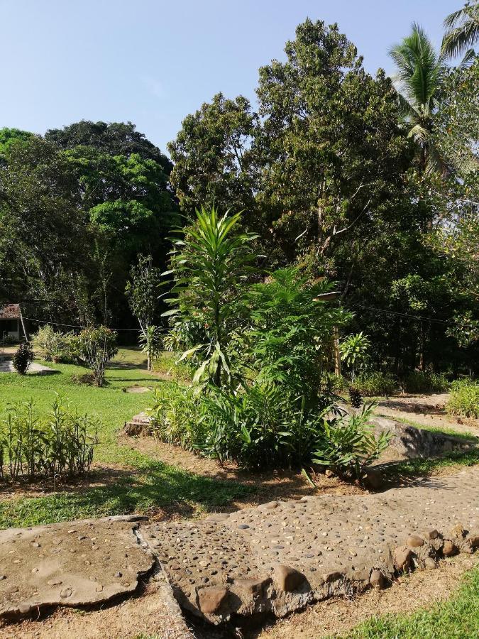 Durian Chalet Kuala Tahan Dış mekan fotoğraf