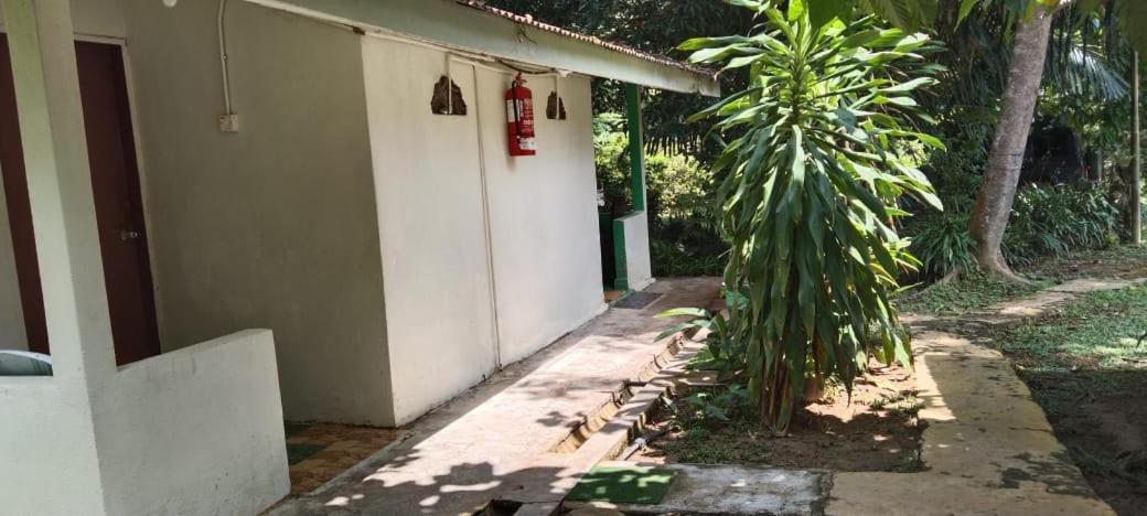 Durian Chalet Kuala Tahan Dış mekan fotoğraf