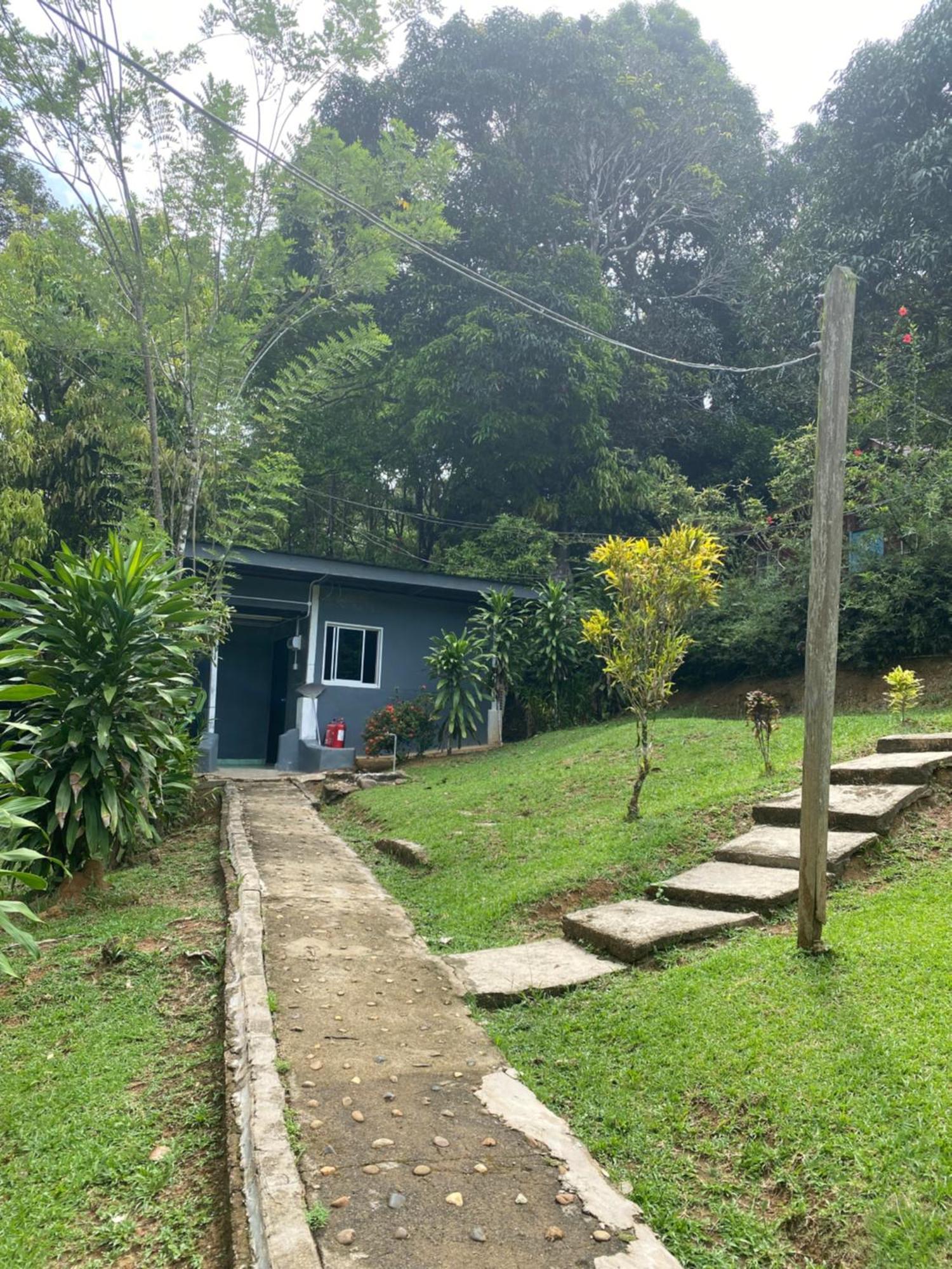 Durian Chalet Kuala Tahan Dış mekan fotoğraf