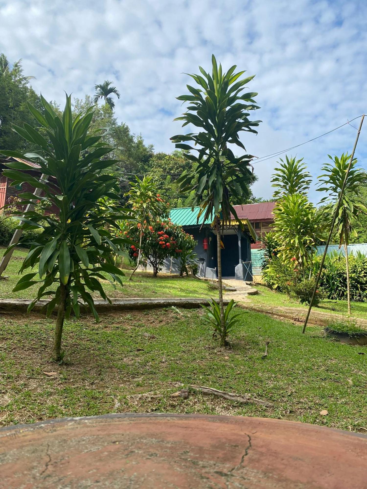 Durian Chalet Kuala Tahan Dış mekan fotoğraf